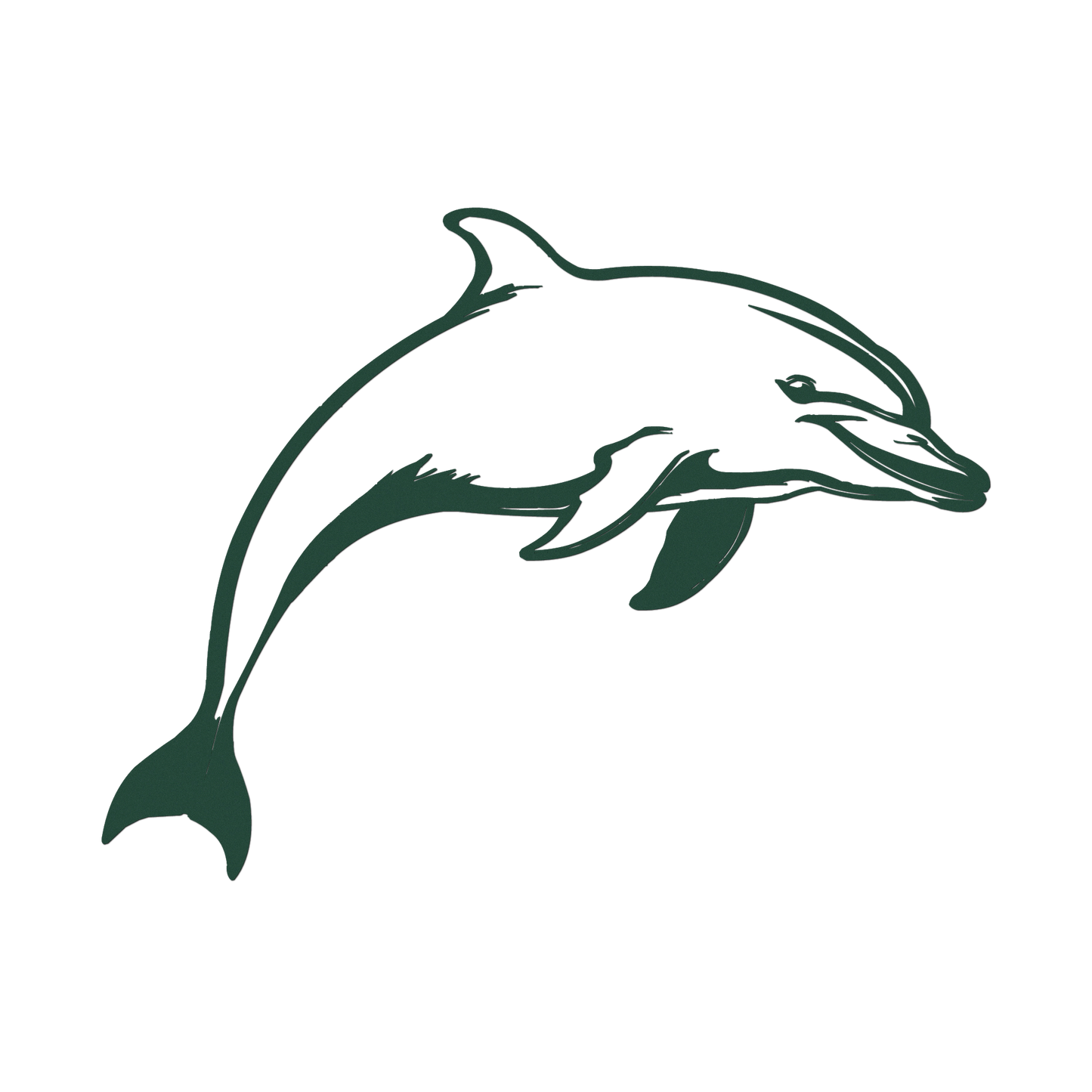Dolphin Tales