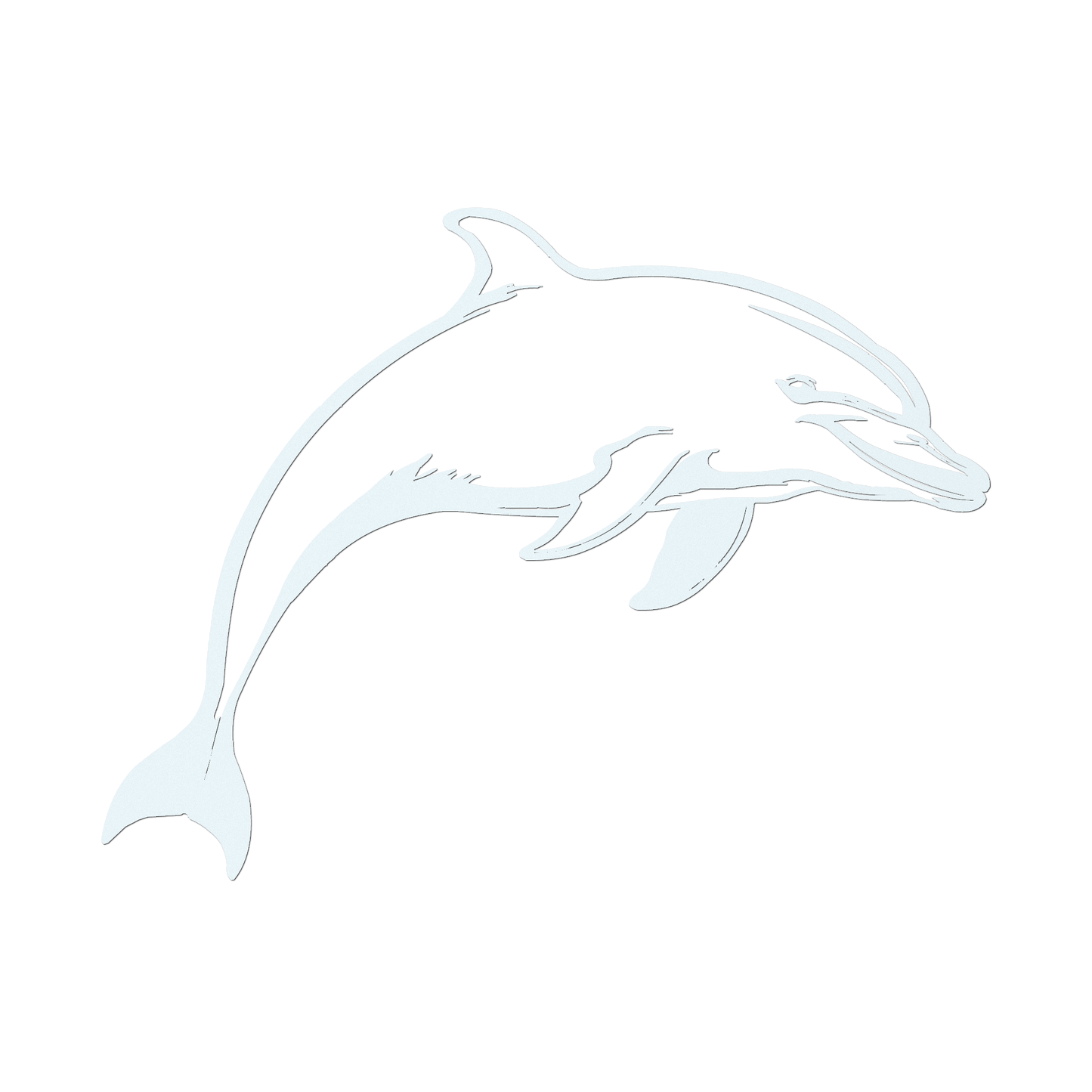 Dolphin Tales