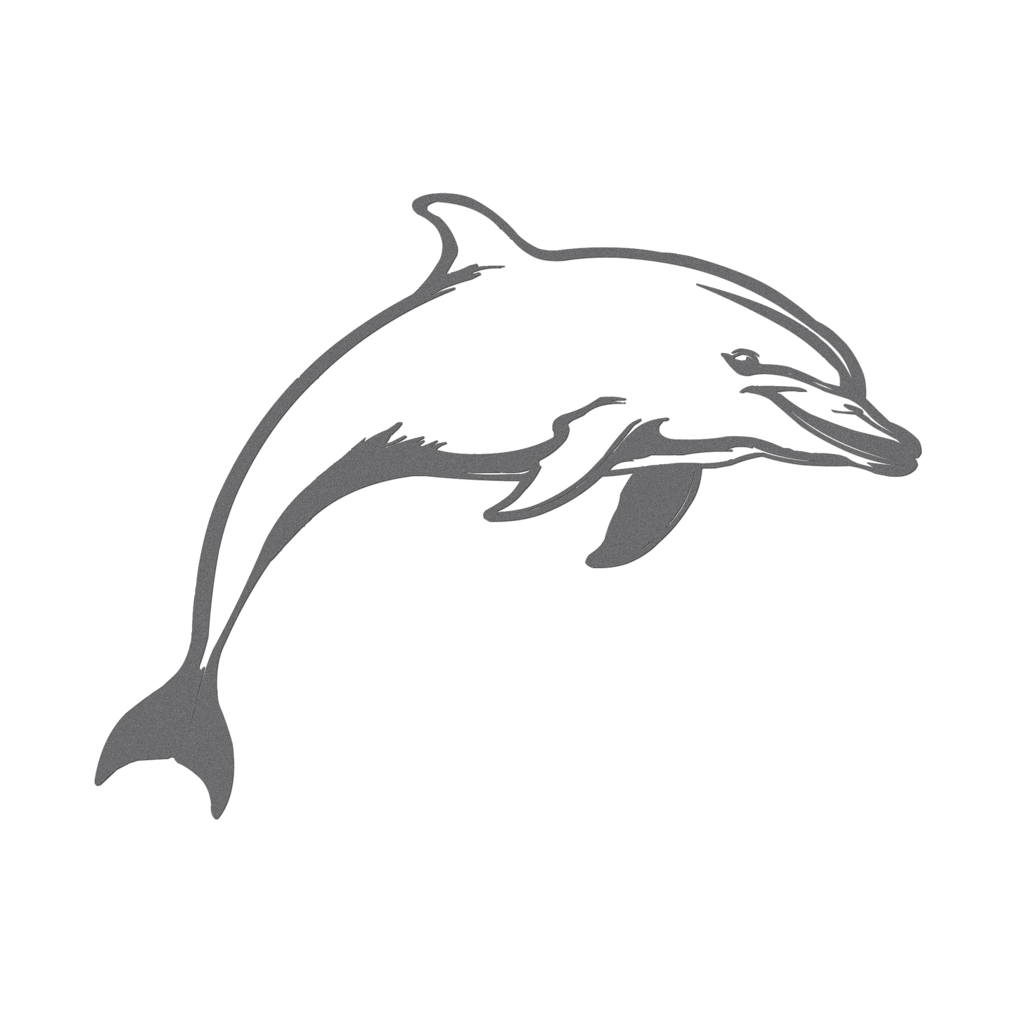 Dolphin Tales