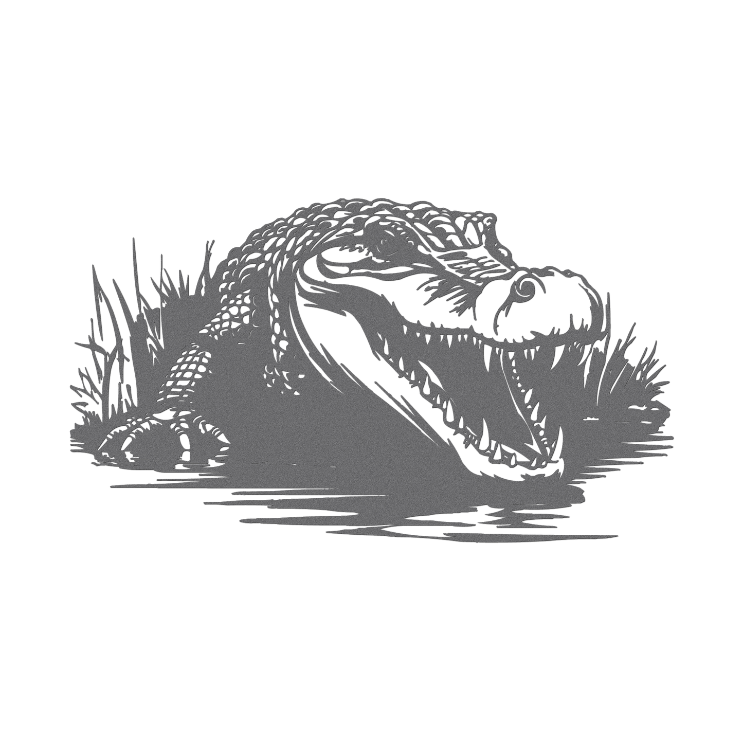 Alligator