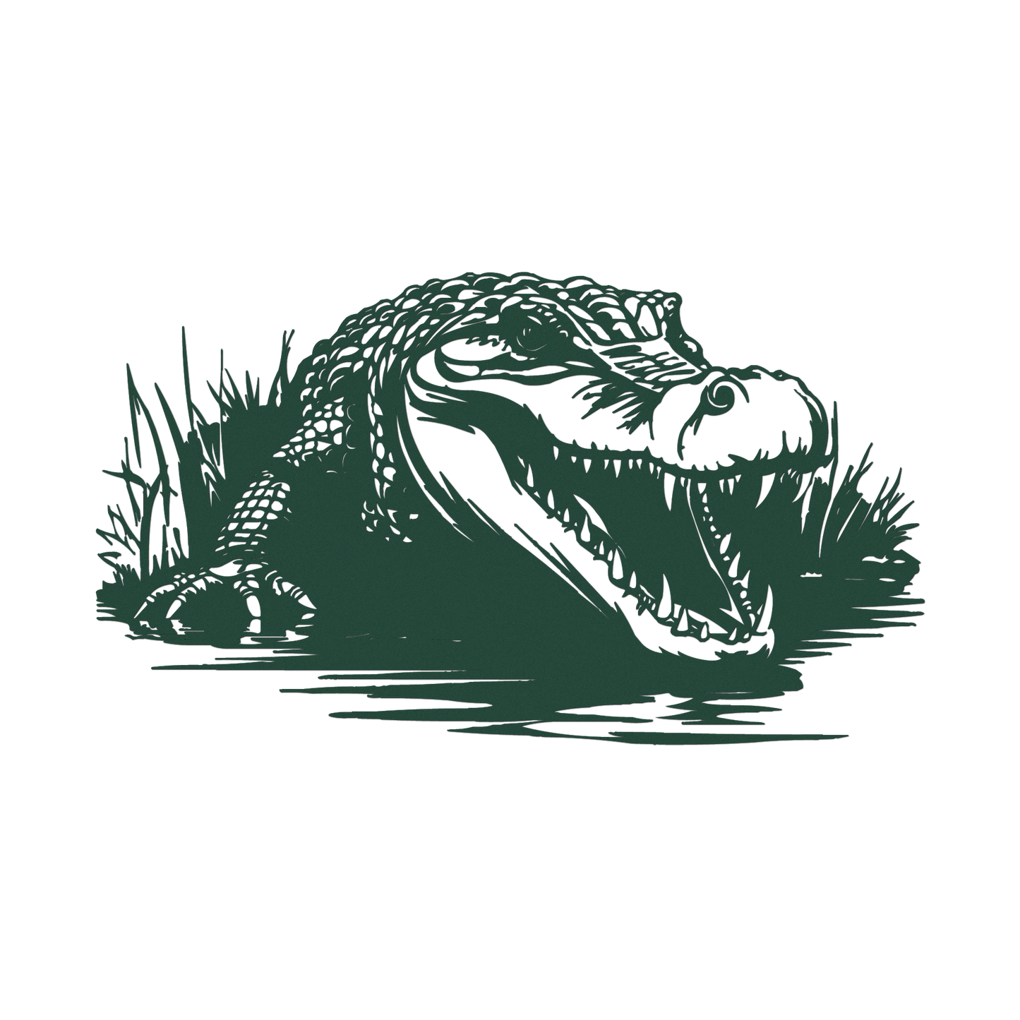 Alligator