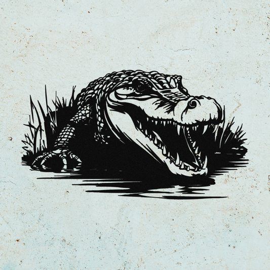 Alligator