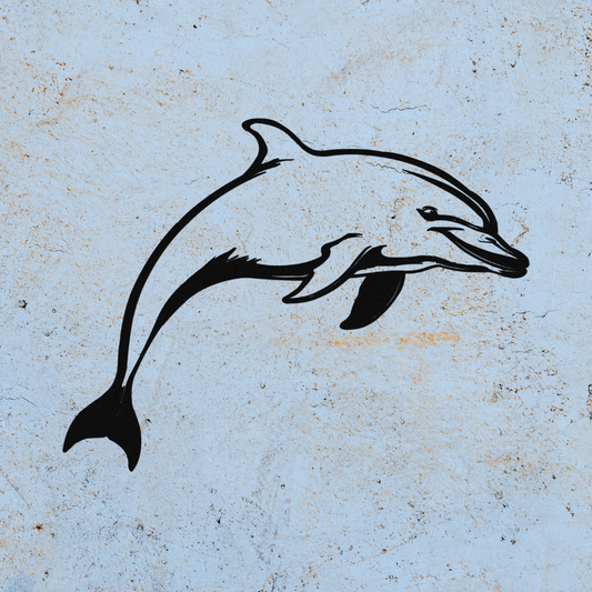 Dolphin Tales