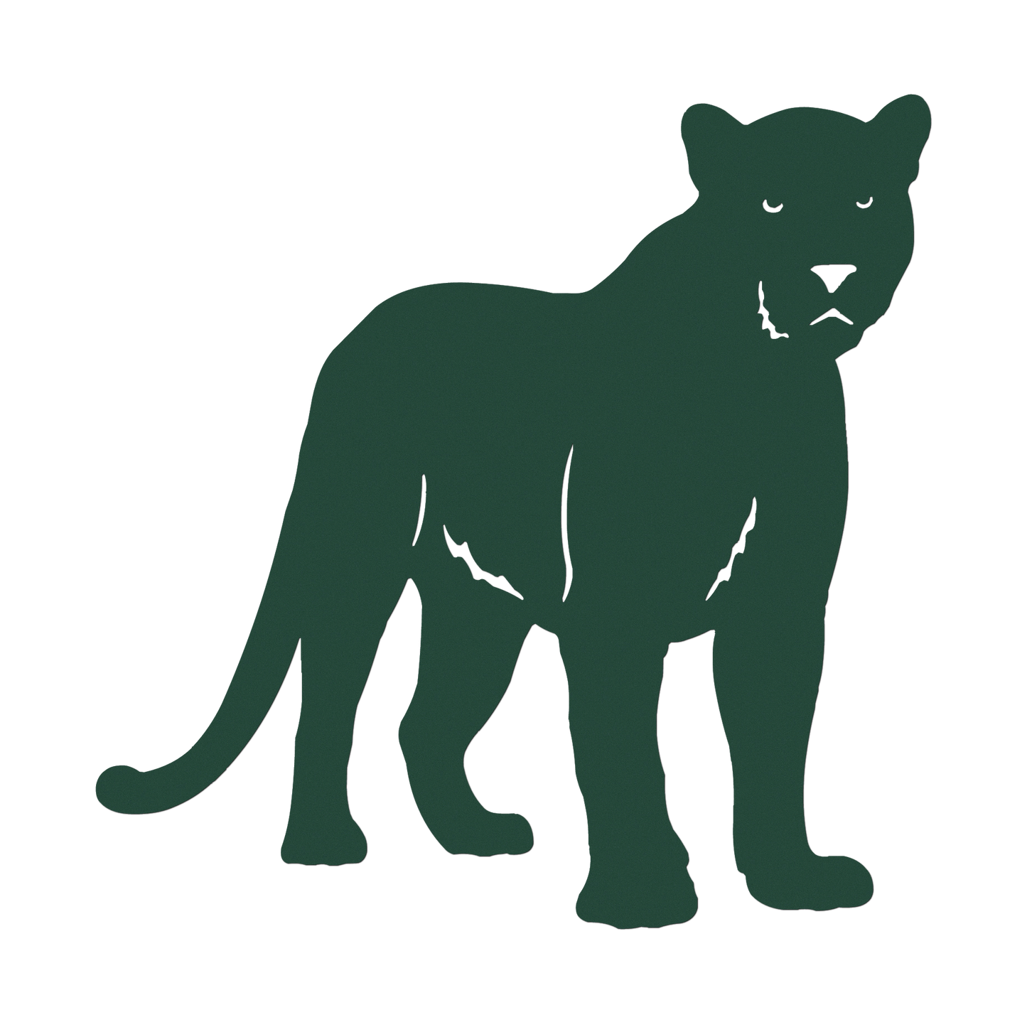 Panther