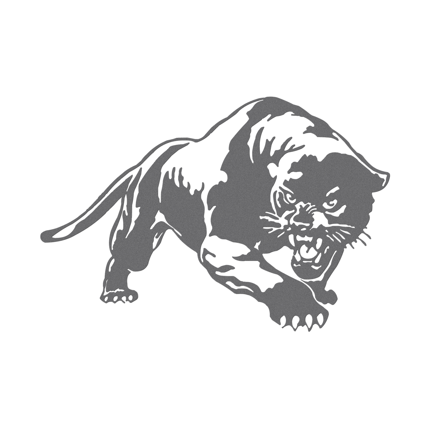 Panther Growl