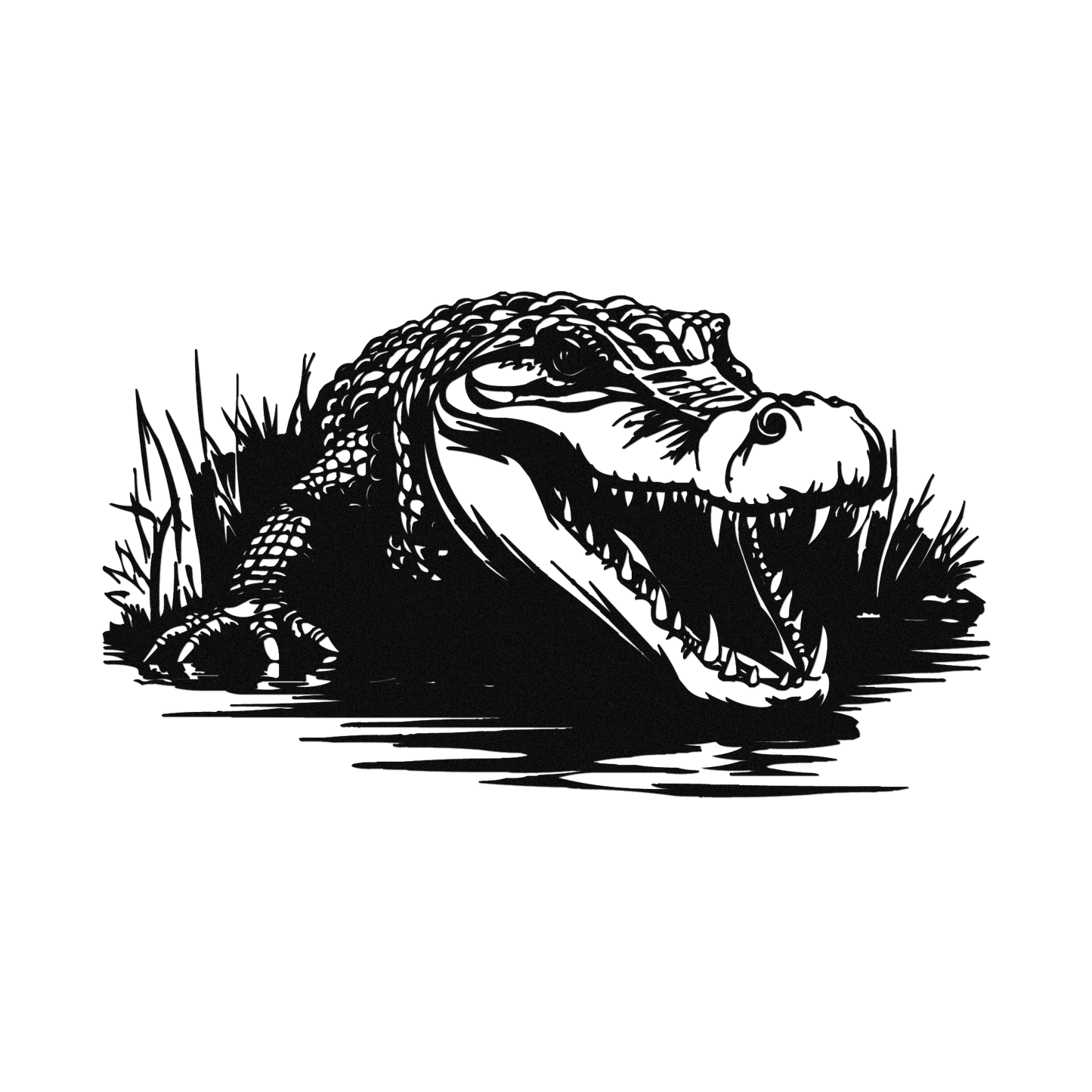 Alligator